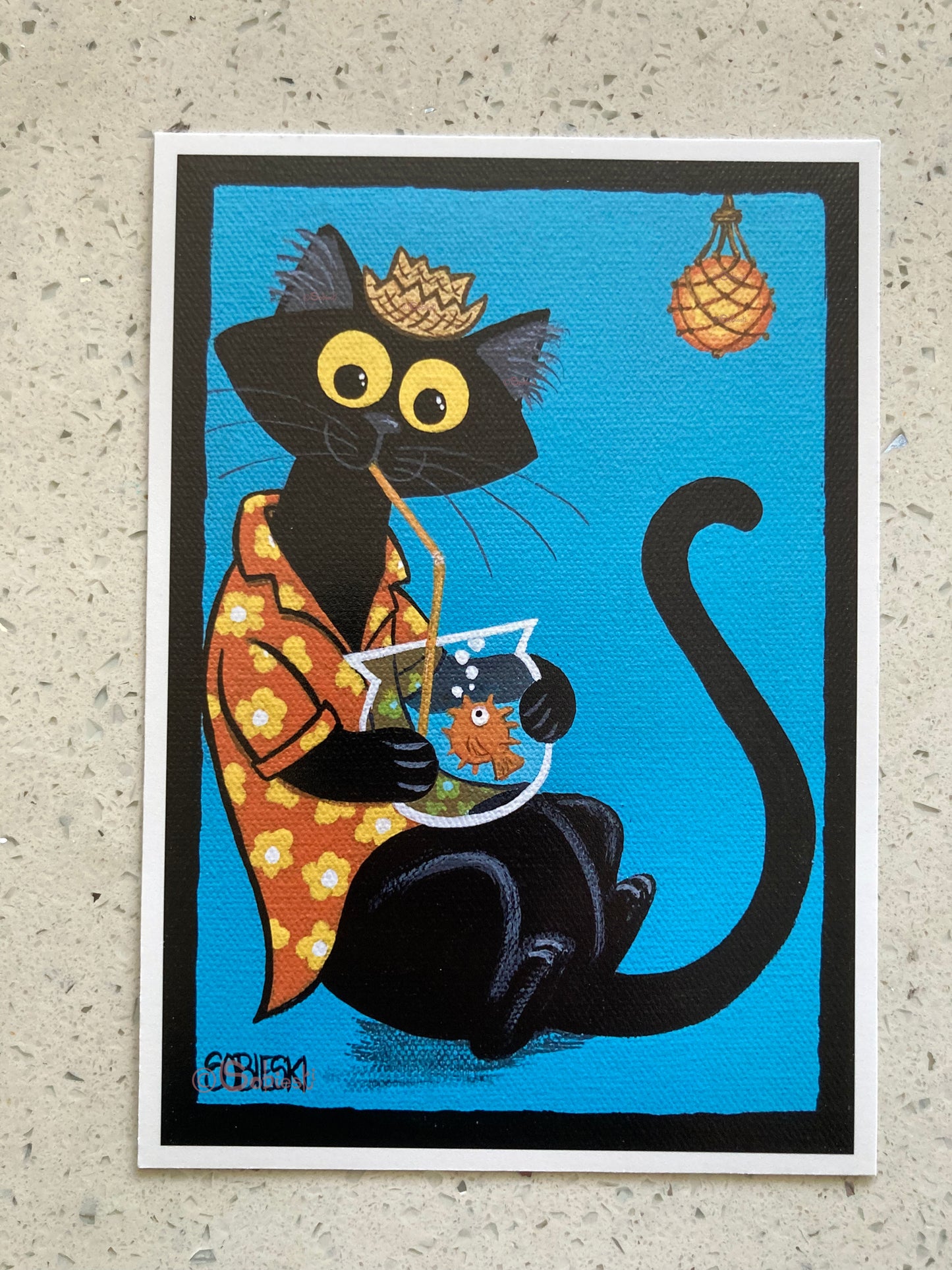 Aloha Caturday